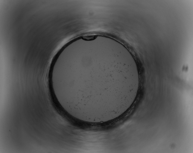 X0000102360196200808291233