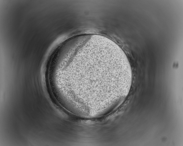 X0000102360197200808291233