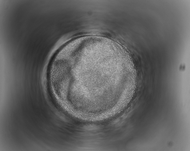 X0000102360198200808291233