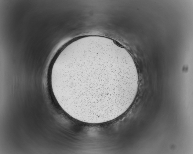 X0000102360200200808291233