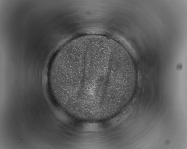 X0000102360202200808291233