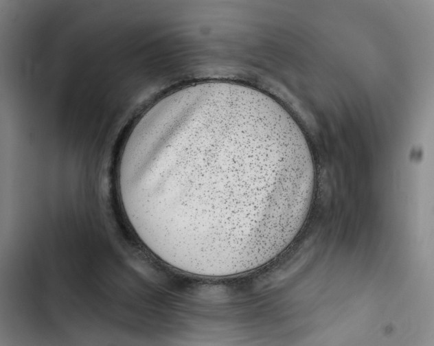 X0000102360203200808291233