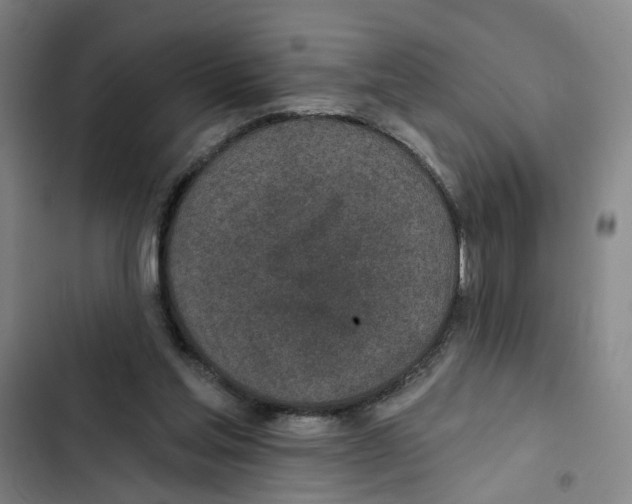 X0000102360205200808291233