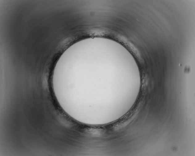 X0000102360209200808291233