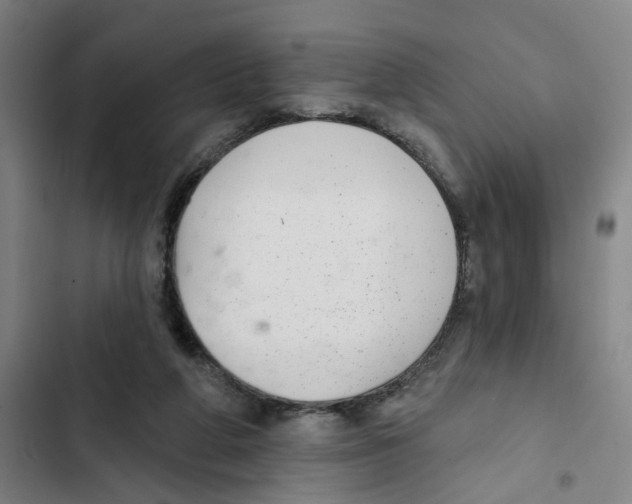 X0000102360210200808291233