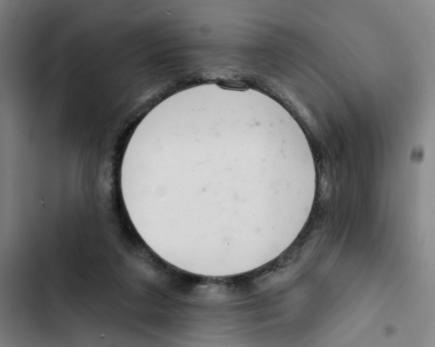 X0000102360211200808291233