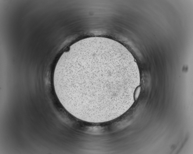 X0000102360212200808291233