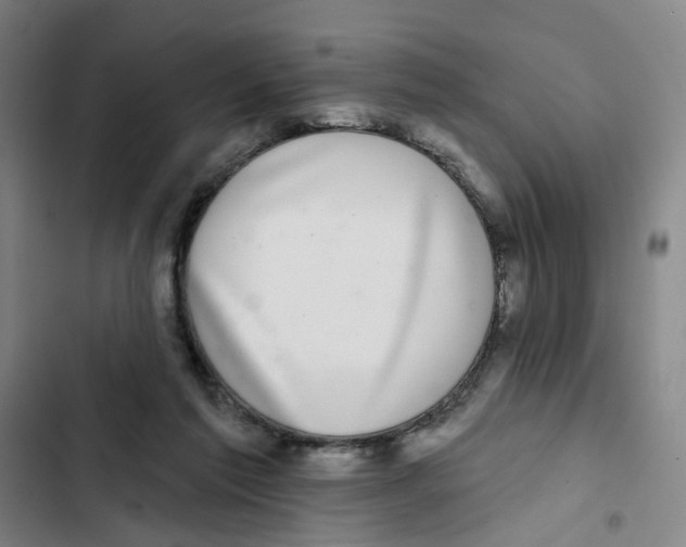 X0000102360213200808291233