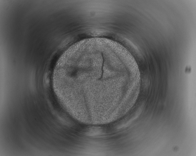 X0000102360214200808291233