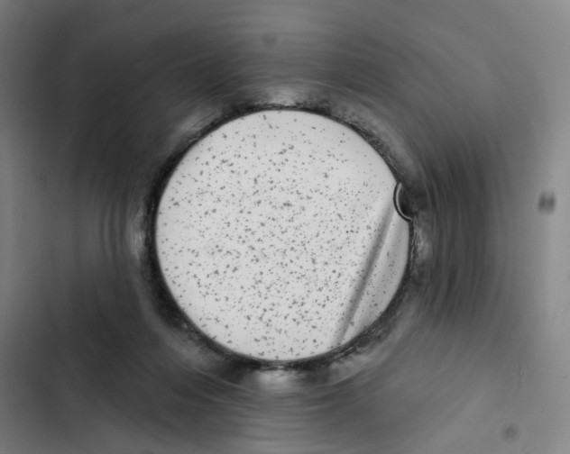 X0000102360216200808291233