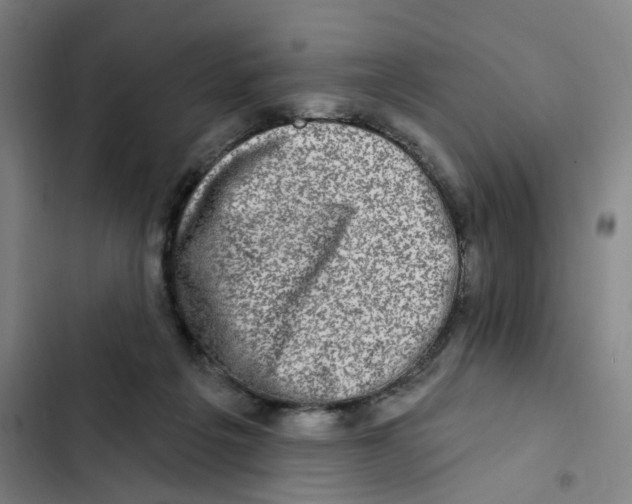 X0000102360217200808291233