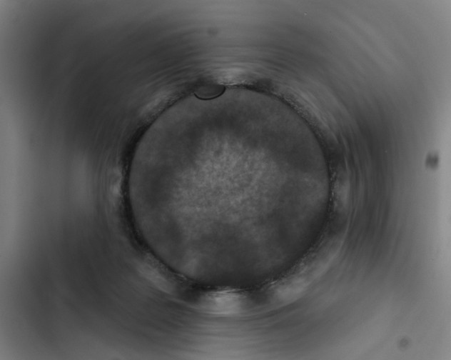 X0000102360219200808291233