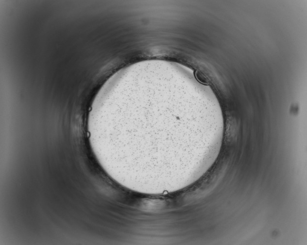 X0000102360220200808291233