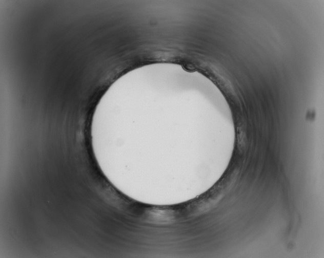 X0000102360221200808291233