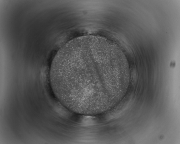 X0000102360222200808291233
