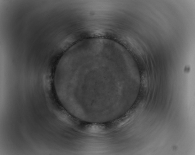 X0000102360223200808291233