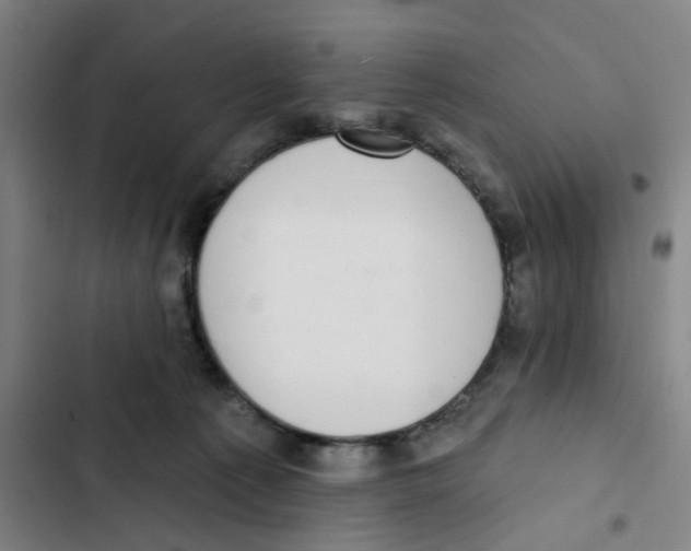 X0000102360225200808291233