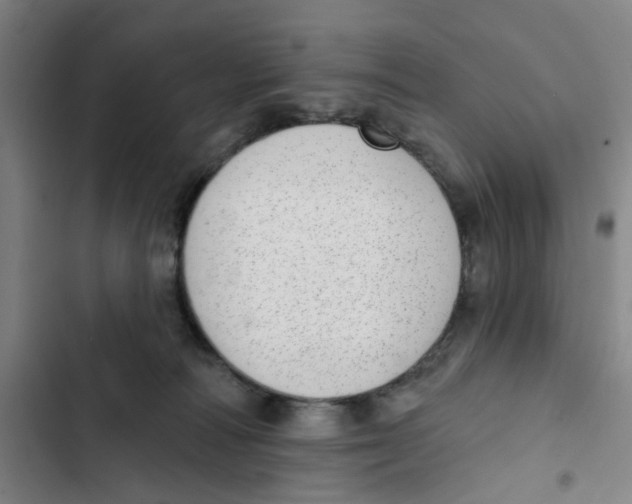 X0000102360226200808291233