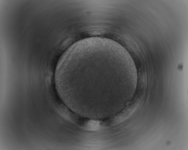 X0000102360227200808291233