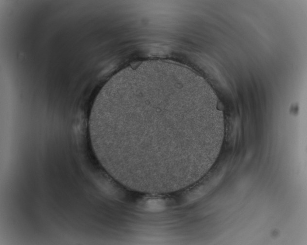X0000102360228200808291233