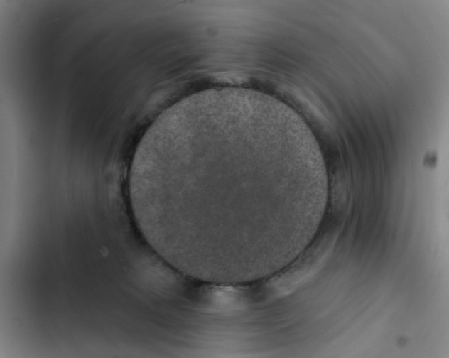 X0000102360229200808291232