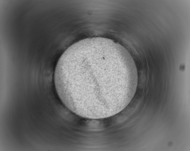 X0000102360230200808291232