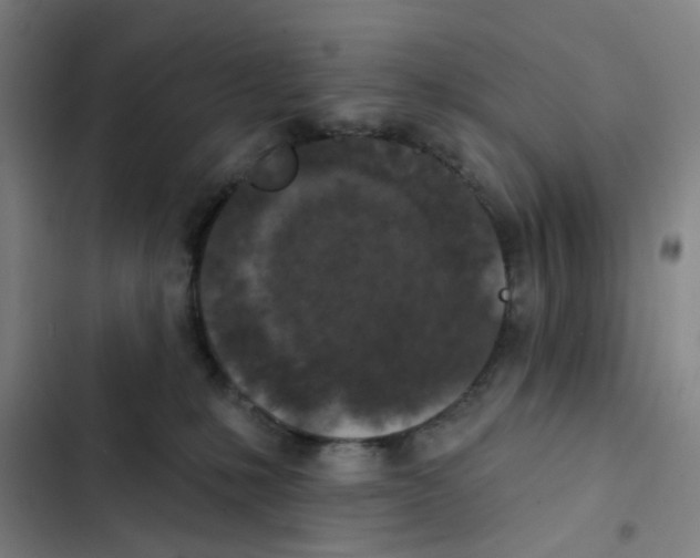 X0000102360231200808291232