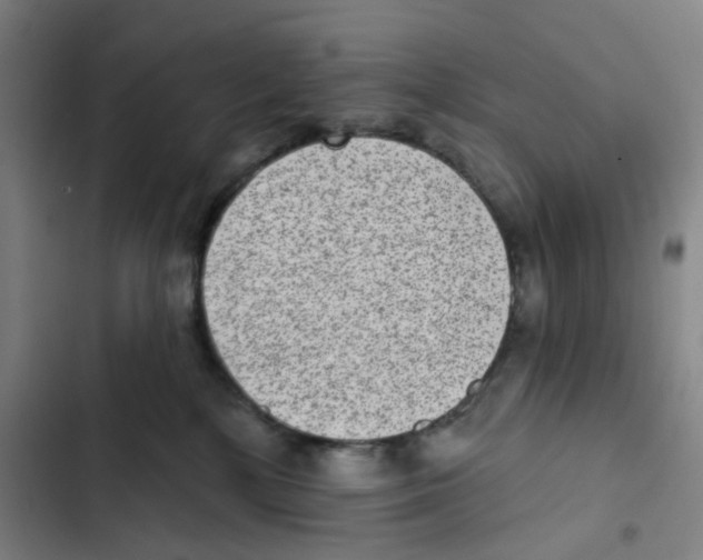 X0000102360232200808291232