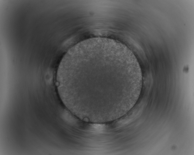 X0000102360233200808291232
