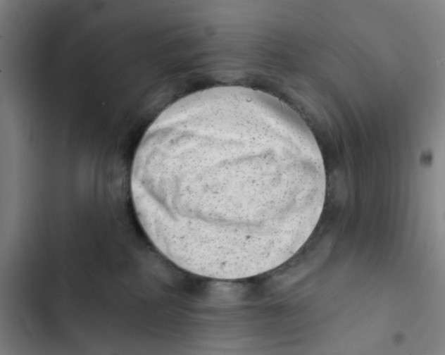 X0000102360234200808291232