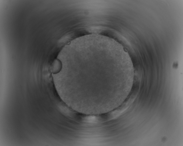 X0000102360237200808291232