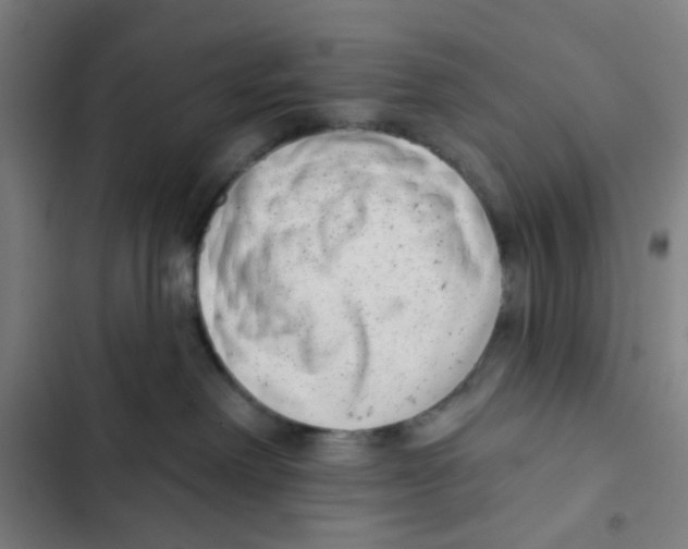 X0000102360238200808291232