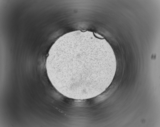 X0000102360240200808291232