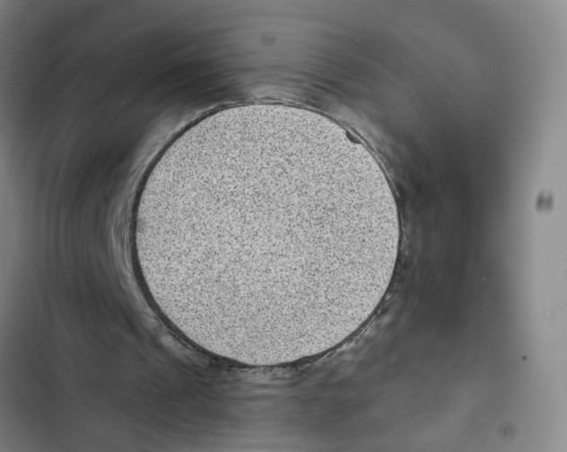 X0000102360241200808291232