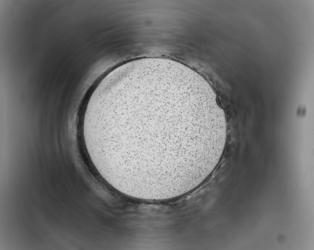 X0000102360242200808291232