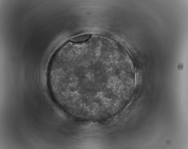 X0000102360243200808291232