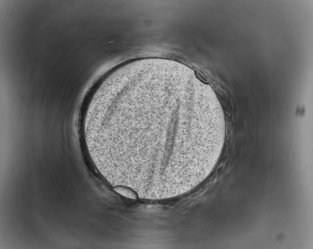 X0000102360244200808291232