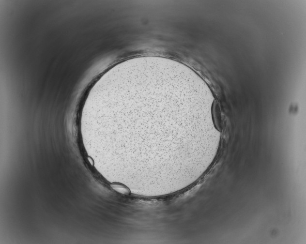 X0000102360245200808291232