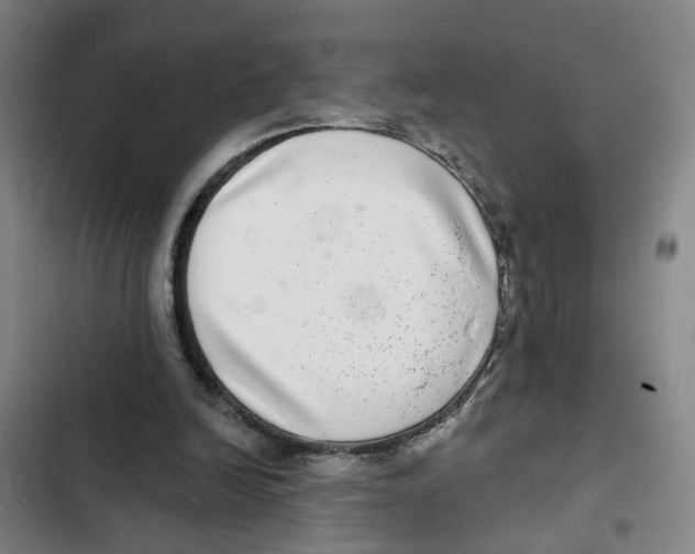 X0000102360246200808291232