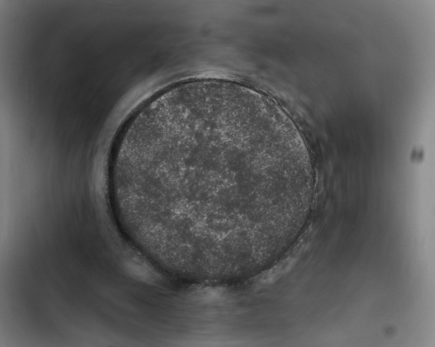 X0000102360247200808291232