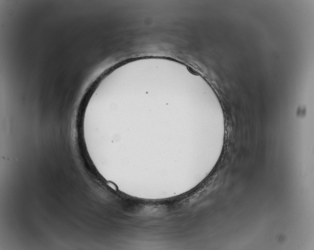 X0000102360248200808291232