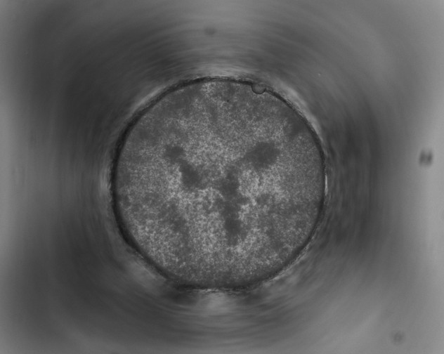 X0000102360249200808291232