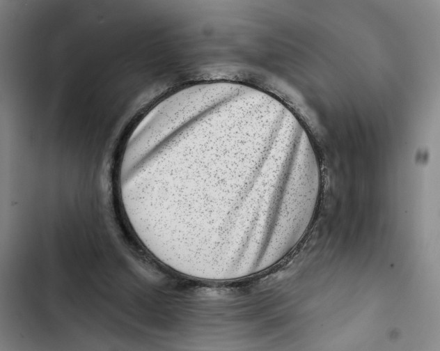X0000102360250200808291232