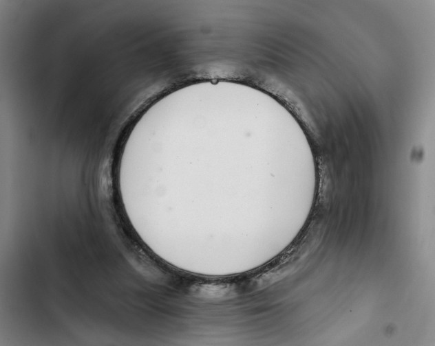 X0000102360251200808291232