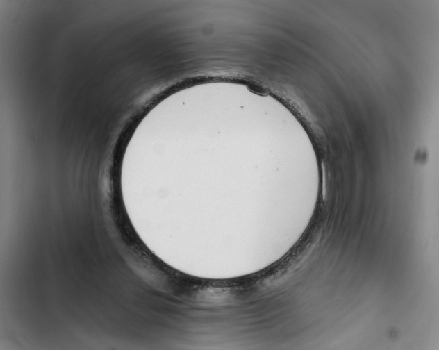 X0000102360252200808291232