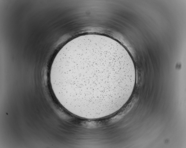 X0000102360253200808291232