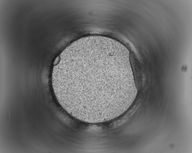 X0000102360257200808291232