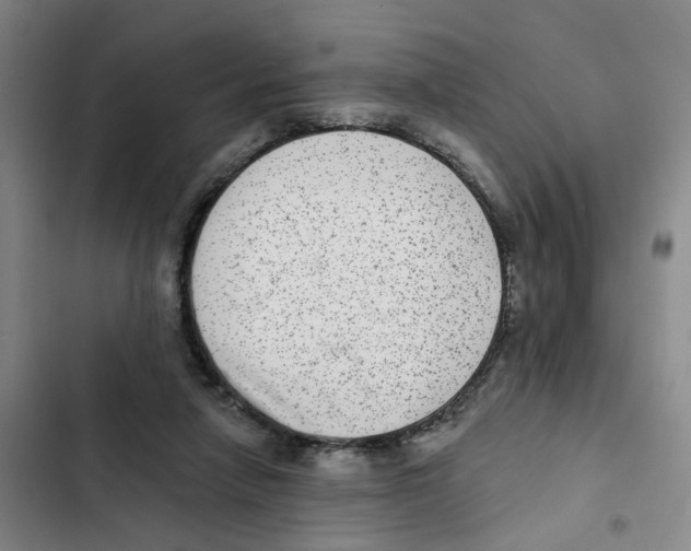 X0000102360258200808291232