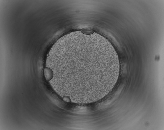 X0000102360260200808291232