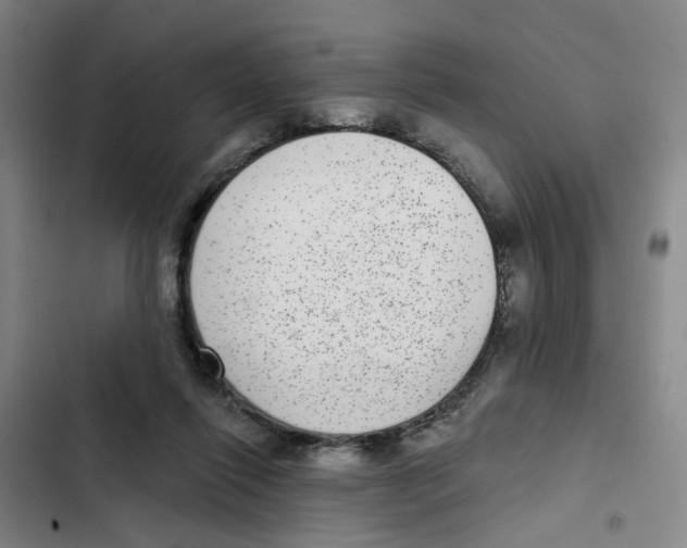 X0000102360262200808291232